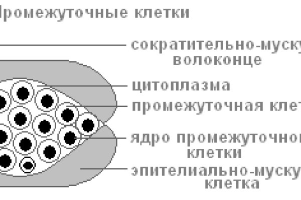 Кракен вместо гидры